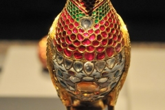 Jeweled Falcon - India