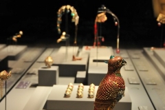 Another photo of the Jeweled Falcon