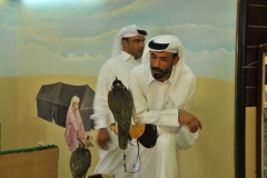 The sport of Falconry began over 5,000 years ago in Iran. The sport was introduced to Qatar through Bedouin tribes who used the birds as a tool for hunting.