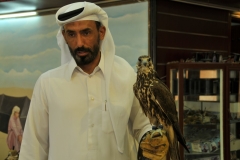 The best Falcons cost thousands of dollars. They can even be issued their own passports to ensure they are not stolen or taken out of the country without the owners permission.