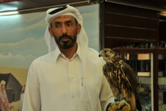 It is not unusual to find a Falcon aboard an airliner traveling with their owner in the Middle East.