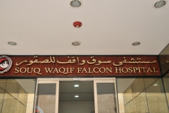 Falcon Hospital