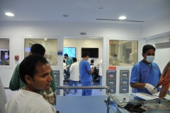Inside the Falcon Hospital