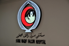 Great Logo for the Falcon Hospital