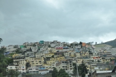 The hillsides are built up into the hills