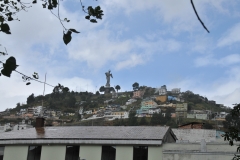DSC_4595