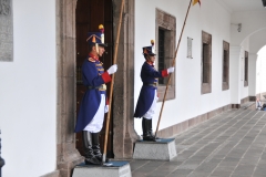 Guards at the front entrance of the Presidential Palace