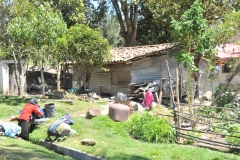 Not an easy life in Chilcapamba