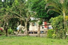 Local homes near the school