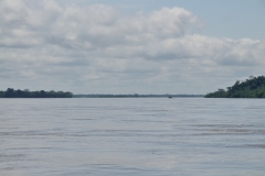 This is no small river either in the rain forest