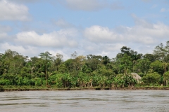 The Amazon River basin