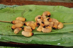 Grub