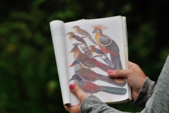 Exotic birds that we are seeing