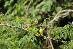 DSC_4957