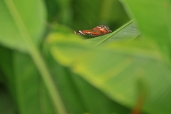Through the lens of mother nature