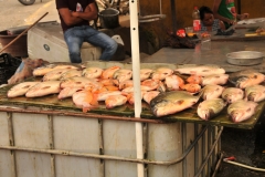 Pescado  fresca - Fresh fish