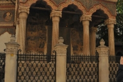 All that remains from the original monastery is the church, alongside a building from the beginning of the 20th century which shelters a library, a conference room and a collection of old (early 18th century) icons and ecclesiastical objects, and parts of wall paintings recovered from churches demolished during the communist regime.