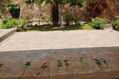 Each of us were given a single rose to lay on the area of those entombed below.