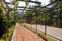 In April 1994 reports of systematic mass murder within Rwanda began to filter out of Rwanda and circulate throughout the world. Sadly, little was done to halt the mass killing. To outsiders the genocide was represented as tribal-based ethnic violence, with the Tutsis the victims and the Hutus as the perpetrators. Precisely how many people were actually murdered may never be known; estimates vary between 500,000 and over a million. The number of people killed is widely accepted as being somewhere close to 800,000.