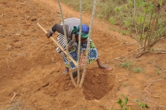 We stopped at a farmhouse for lunch with a family. Here the wife shows us how to find the Cassava root which we were having for lunch too..