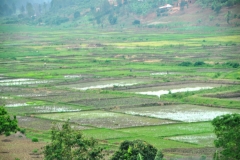 View of the Rwandan countryside as we drove along the roads. Everywhere you find people working and farming.