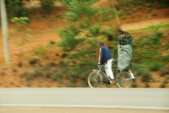 Amazing what you can carry on the back of a  bicycle