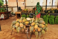 How many pineapples can you carry on a bicycle? Here is the answer.