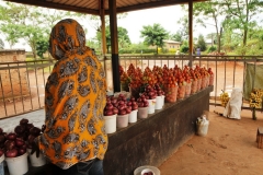 Check out these fresh tomatoes and onions