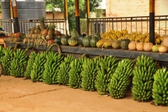 Good looking fruits and green bananas