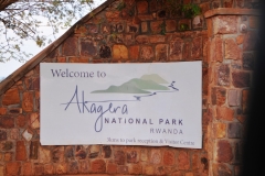 This is our first game drive visit in Rwanda  at The Akagera National Park.