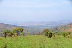 Beautiful colors in the landscape of the Akagera National Park