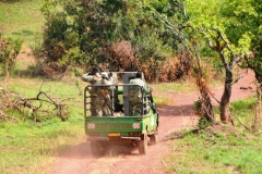Security in the park  to prevent poaching of animals
