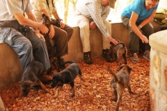 While meeting at the Headquarters and listening to information from the Commander of the Park a group of Belgium Malinois puppies came into our area.  Who does not like to pet a puppy?