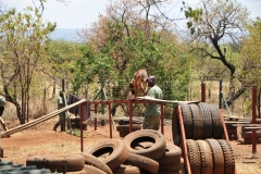 The Malinois has the perfect temperament, intelligence, dedication, agility and high level of diligence to be the perfect anti-poaching K9 soldier on the front line, protecting our precious wildlife. They also have a very strong bite strength, making them very effective in the field.