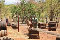 The training is extreme but they are the best at what they do in saving animals from the Poachers in the Park.