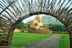 Monument of Volcano National Park