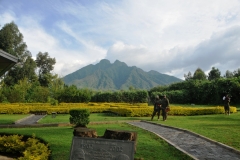Volcanoes National Park is a national park in northwestern Rwanda. It covers 62 square miles of rain forest and encompasses five of the eight volcanoes in the Virunga Mountains. It is home to the mountain gorilla and the golden monkey, That is where we are climbing today to the top areas.