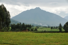 This is the Volcano that you cimb. First walking through fertile farm fields. Then the ascent starts. The volcano is shared by the Congo, Rwanda and Uganda.