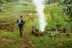Each group was made up of 8 climbers  The  porters assisted us half way up the Volcano. We were then turned over to the  8 Trekkers to find the Gorilla Family in the dense follage of the volcano mountain..  The cost, per one day, when I booked the trip was approximately $700 a person for the trip with no guarantee you will see any Gorillas. The cost one year later is now $1,700 per person. Before  climbing the volcano we walk through the fields, for 45 minutes,  where workers are tending to the crops in the fields.