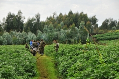 We stop for a break before beginning  the climb.