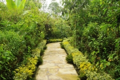 Walkway to the room. It was very cold here. A fire place in the room with lighted logs in the evening and a hot water bottle placed in the bed for each person. That was a first.