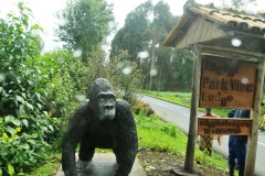 Entrance to the hotel