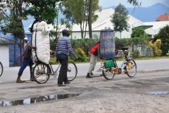 Every day there is a new surprise in seeing what can be transported on a bicycle.