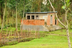 This building seemed to be the only bathroom I could see anywhere.