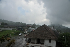 While we were waiting to take the tour of the coffee  plantation the rain poured down.