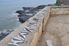 We then stopped y the fishing village of Pantufo where fish were laid out to dry on a wall to dry under the sun next to the beach.