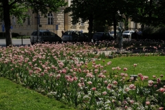 The local parks seem to be cared for very well.