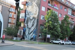 Art on the side of the old soviet era apartment buildings.