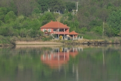 Great reflections in the water.