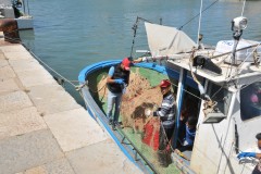 Shrimping is big in the waters off of Mazara.